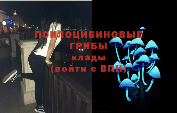2c-b Кулебаки