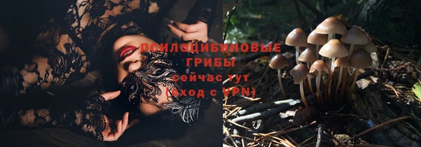 2c-b Кулебаки