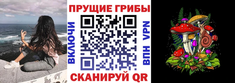 Псилоцибиновые грибы ЛСД  наркошоп  Новошахтинск 